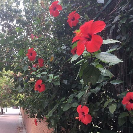 Apartamentо Menorcа Апартаменты Менорка Valensiya Dış mekan fotoğraf